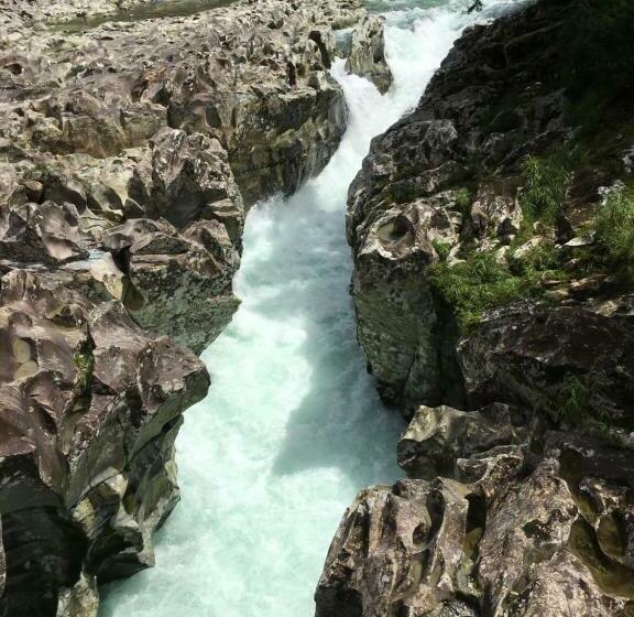 膳宿费 南紀くまのいえ Wakayama・古座