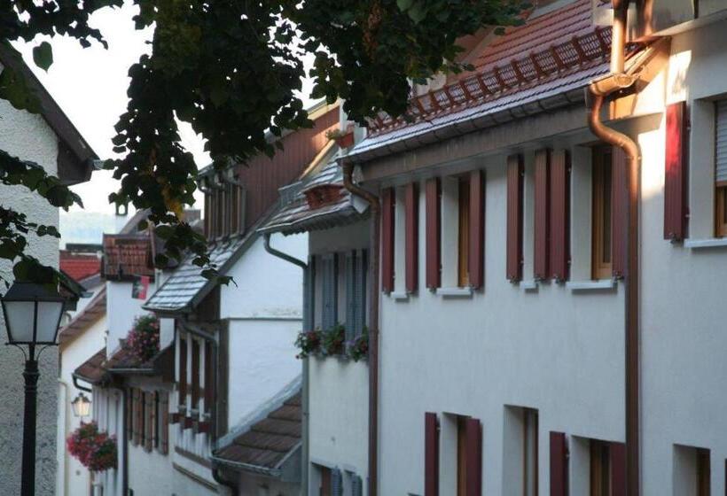 민박 Gästehaus Theresia Garni