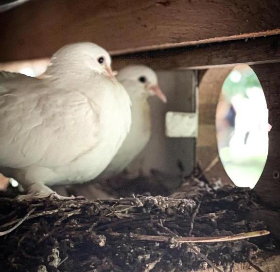 مبيت وإفطار Le Relais Du Doubs En Bourgogne