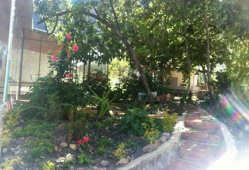 בית מלון כפרי Casa Medina