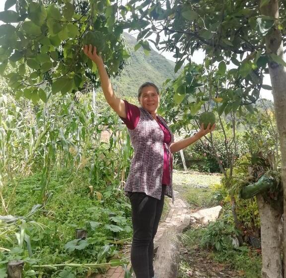 בית מלון כפרי Casa Medina