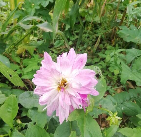 בית מלון כפרי Casa Medina