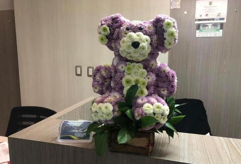 בית מלון כפרי El Peñón