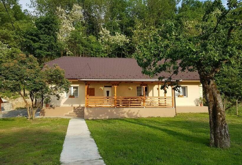 פנסיון Hegyalja Vendégház