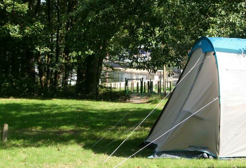 膳宿费 Merlin Les Pieds Dans L Eau