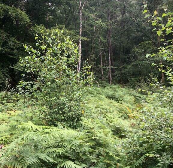 膳宿费 Merlin Les Pieds Dans L Eau