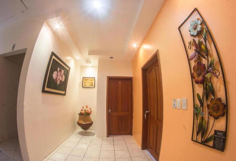 Bed & Breakfast Hosteria Shell
