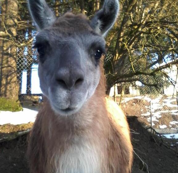 ホテル Funny Farm