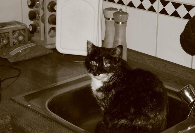 ホテル Funny Farm