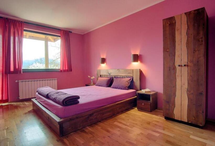 פנסיון Guest House Villa Bozhenitsa