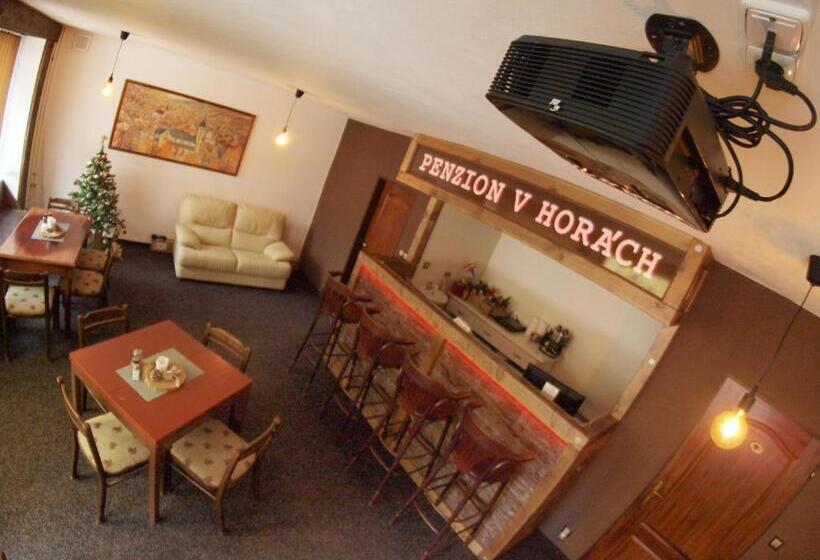 פנסיון Penzion V Horách