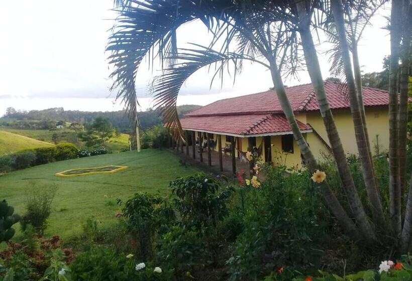 פנסיון Sitio Pinhal