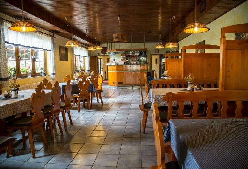 酒店 Sirákov