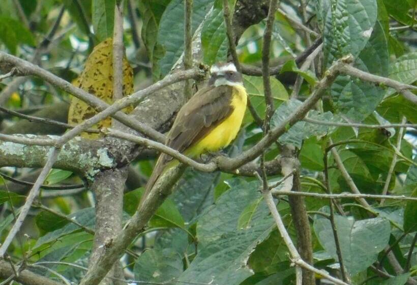 ペンション Casa Campo Alojamiento Campestre Para Descanso En Calarcá Quindío