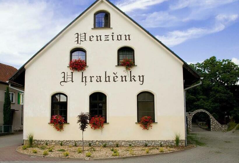펜션 Penzion U Hraběnky