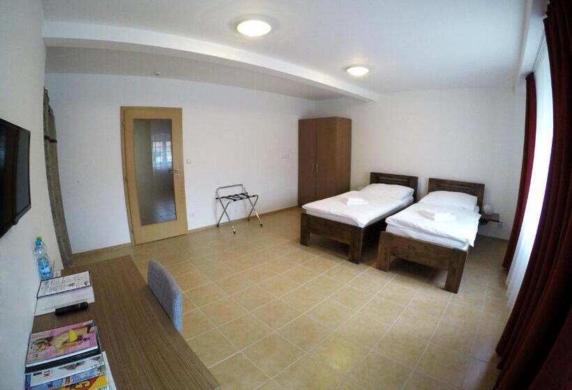 Panzió Penzion U Tri Statkaru