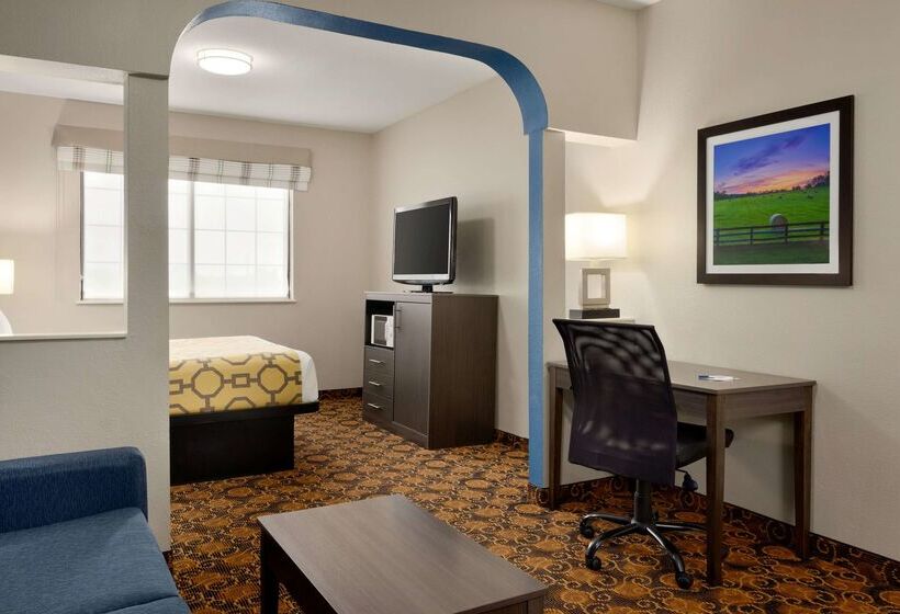 酒店 Baymont By Wyndham Winchester