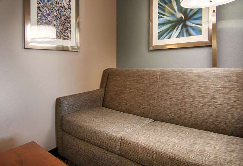 בית מלון כפרי Best Western Plus Blaine At The National Sports Center