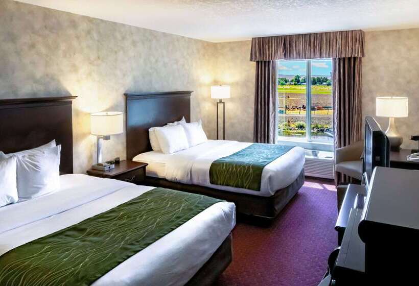 בית מלון כפרי Comfort Inn & Suites