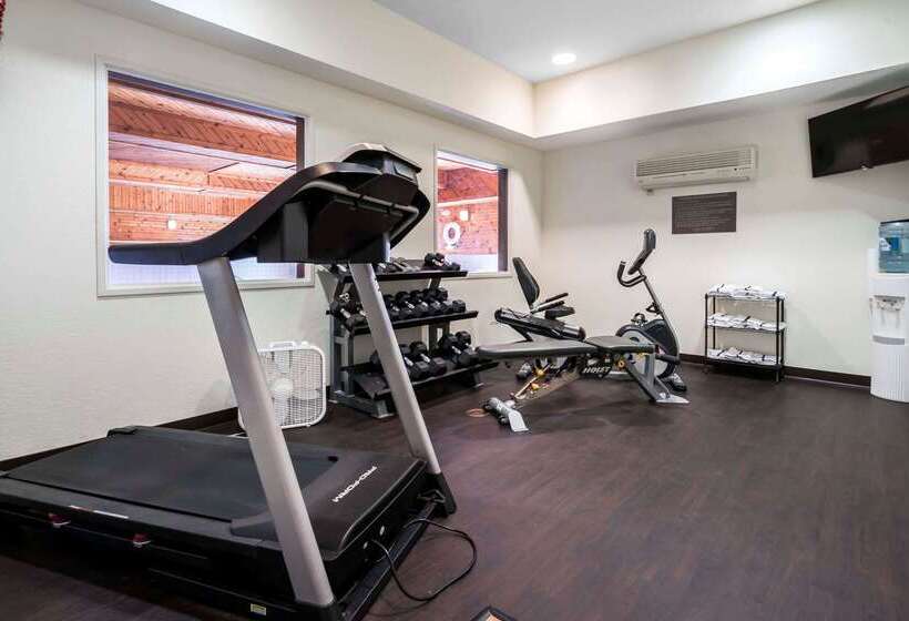 فندق Comfort Inn & Suites