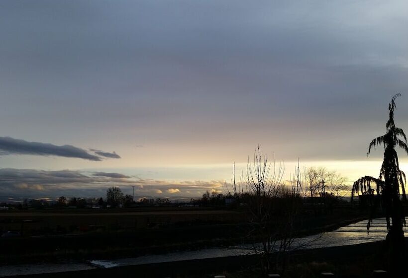 فندق Comfort Inn & Suites