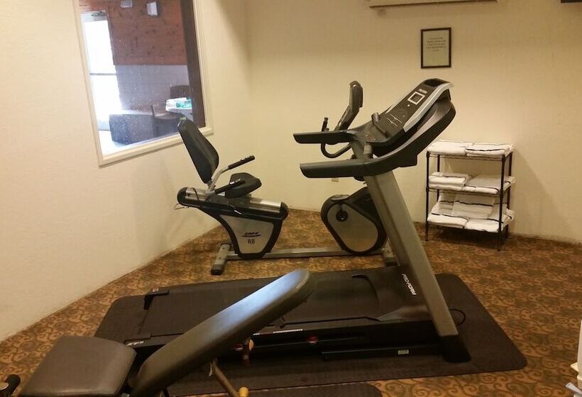 فندق Comfort Inn & Suites