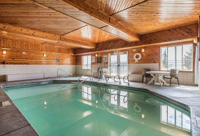 فندق Comfort Inn & Suites