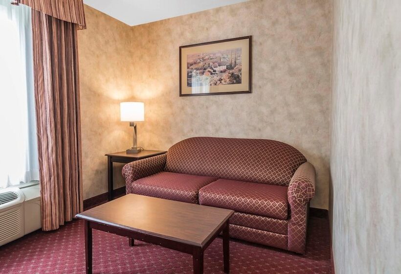 فندق Comfort Inn & Suites