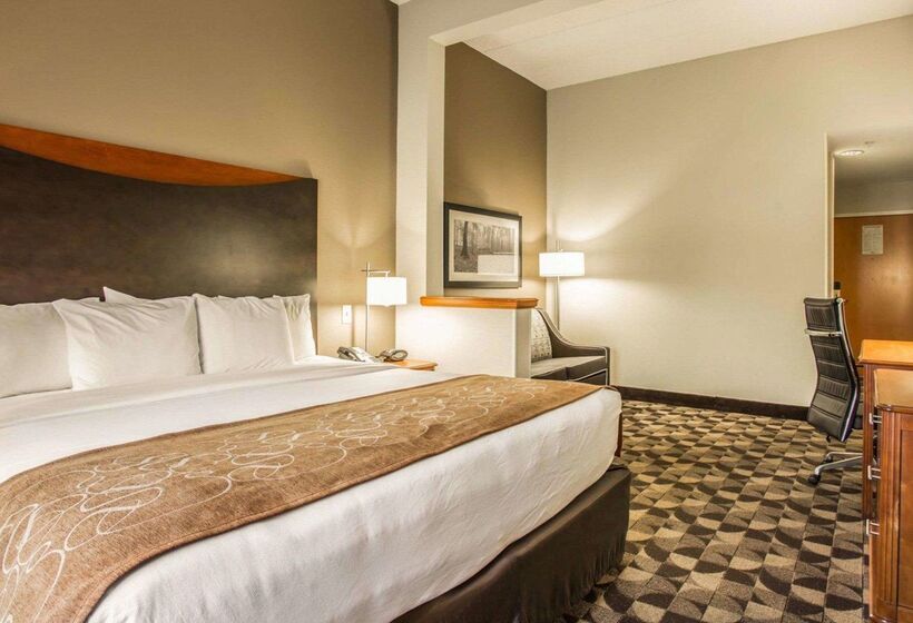 هتل Comfort Suites Columbia At Harbison