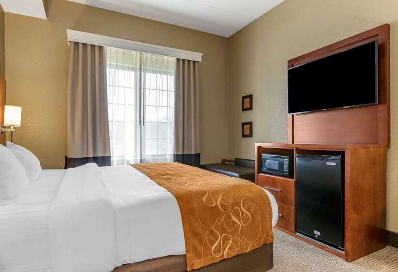 هتل Comfort Suites Grand Rapids South