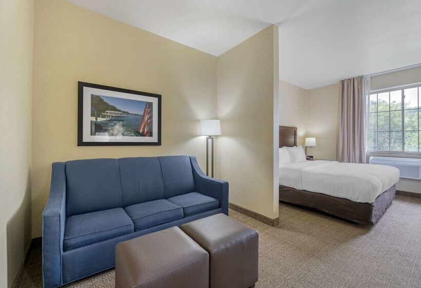 هتل Comfort Suites Lake Geneva East