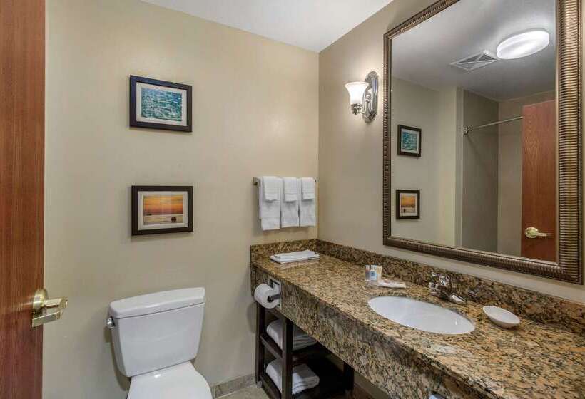 فندق Comfort Suites