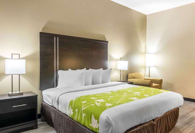 בית מלון כפרי Americas Best Value Inn Opelika