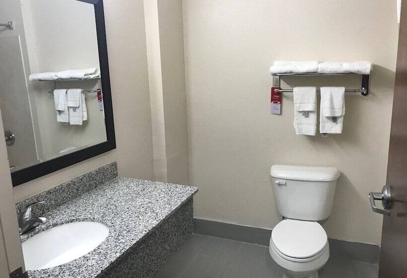 בית מלון כפרי Americas Best Value Inn Opelika