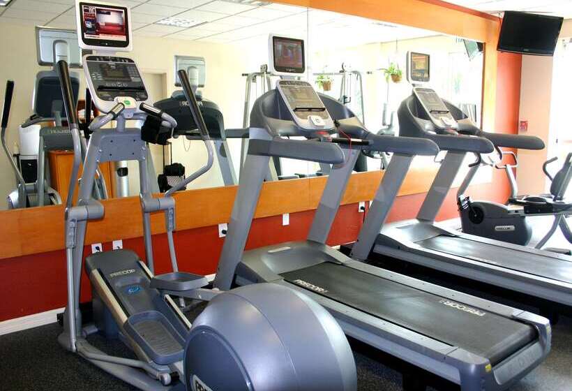 בית מלון כפרי Hilton Garden Inn Tampa North Busch Gardens