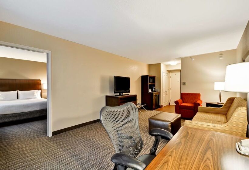 בית מלון כפרי Hilton Garden Inn Tampa North Busch Gardens