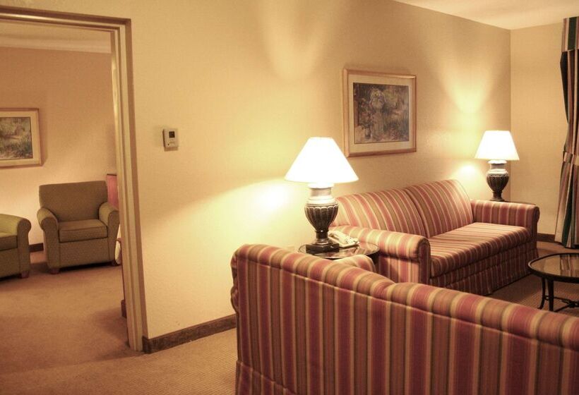 בית מלון כפרי Hilton Garden Inn Tampa North Busch Gardens