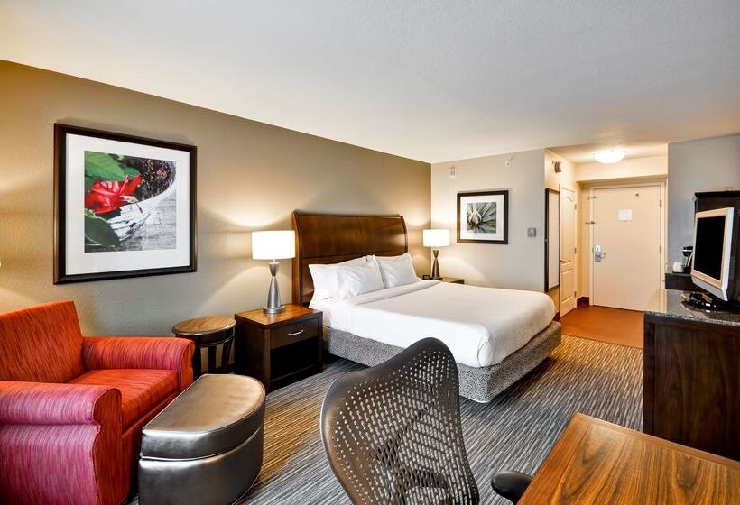 בית מלון כפרי Hilton Garden Inn Tampa North Busch Gardens