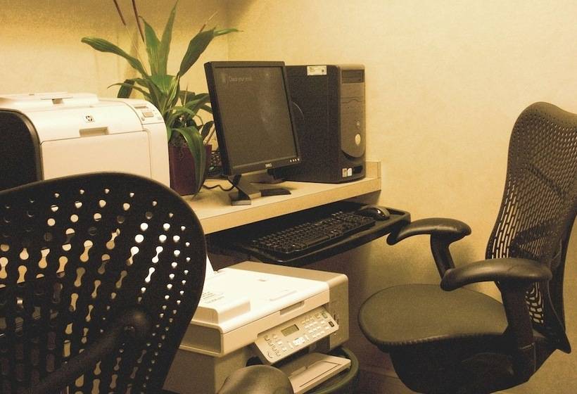 בית מלון כפרי Hilton Garden Inn Tampa North Busch Gardens