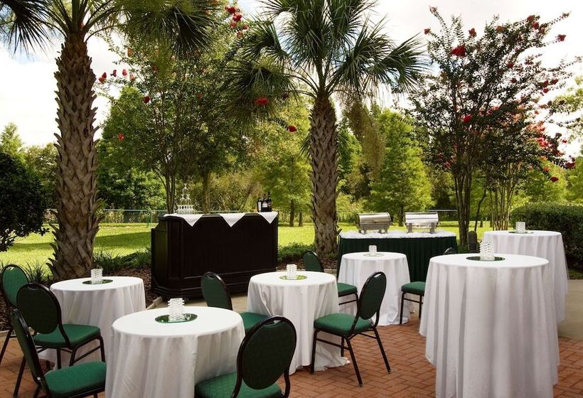 בית מלון כפרי Hilton Garden Inn Tampa North Busch Gardens