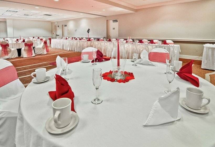 בית מלון כפרי Hilton Garden Inn Tampa North Busch Gardens