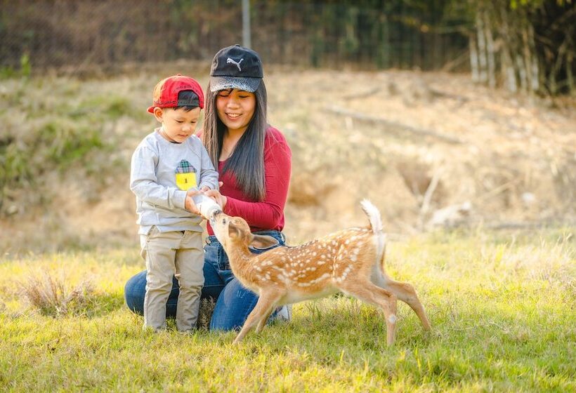 هتل Katiliya Mountain Resort And Spa