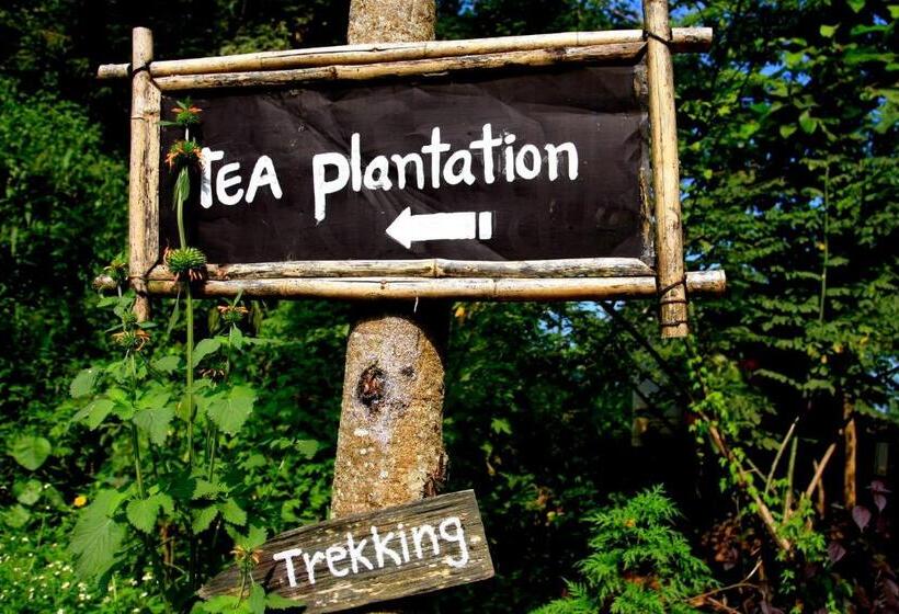 هتل Phu Chaisai Chiang Rai Mountain Resort