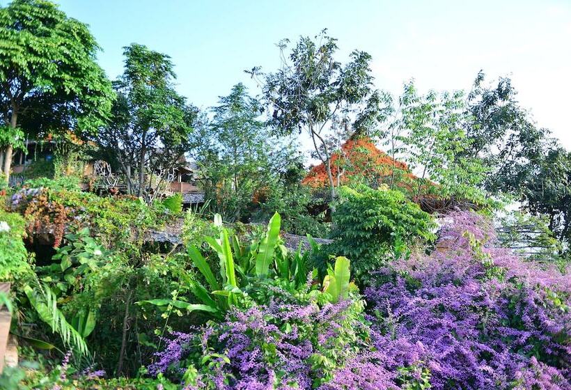 هتل Phu Chaisai Chiang Rai Mountain Resort