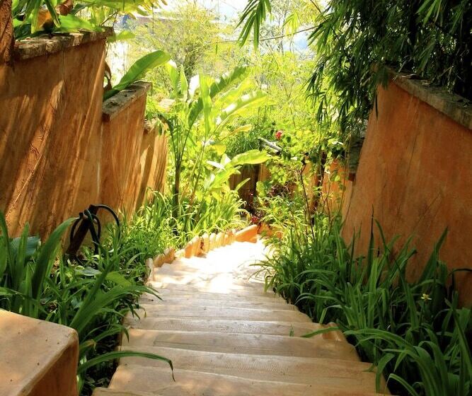 هتل Phu Chaisai Chiang Rai Mountain Resort