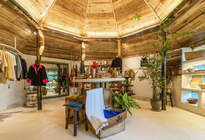 هتل Phu Chaisai Chiang Rai Mountain Resort