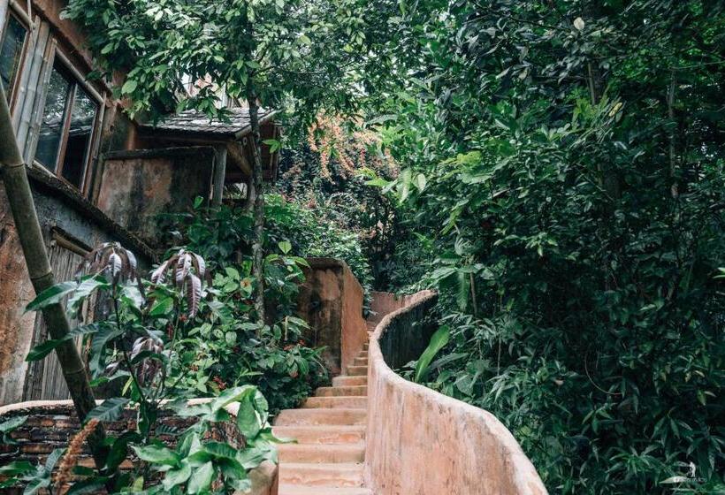 هتل Phu Chaisai Chiang Rai Mountain Resort