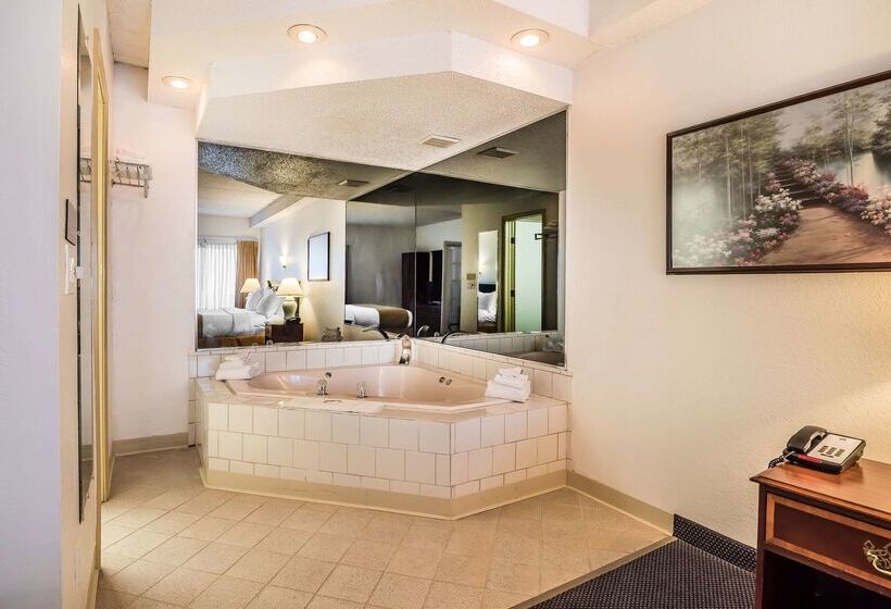 هتل Quality Inn & Suites Albany Airport