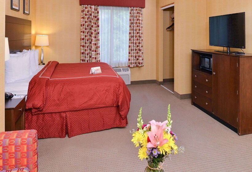 فندق Quality Suites