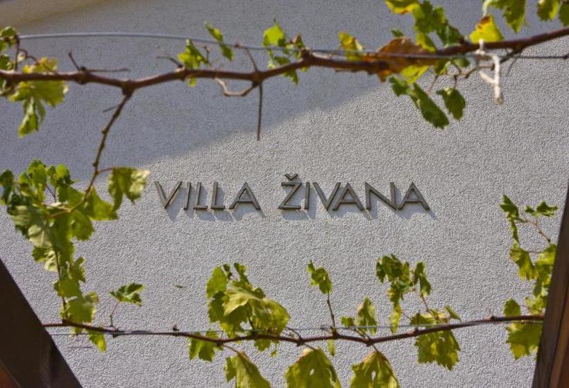 Hotel Villa Zivana